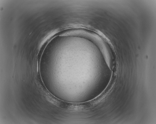 X0000084561269200703021414