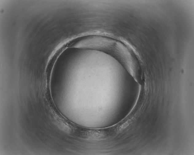 X0000084561270200703021414