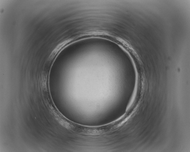X0000084561273200703021414