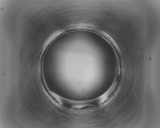 X0000084561285200703021414