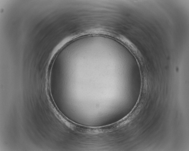 X0000084561286200703021414