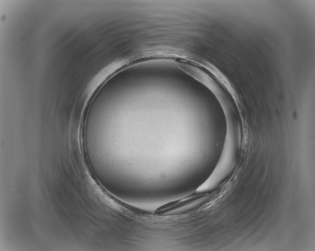 X0000084561293200703021413