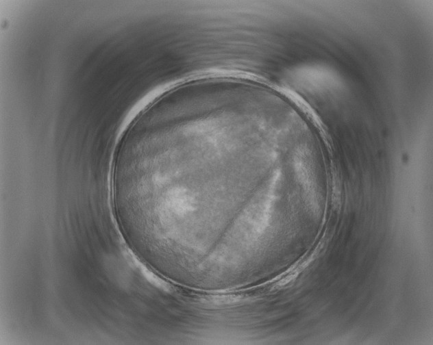 X0000084561294200703021413
