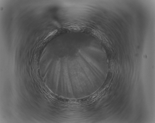 X0000084561297200703021413