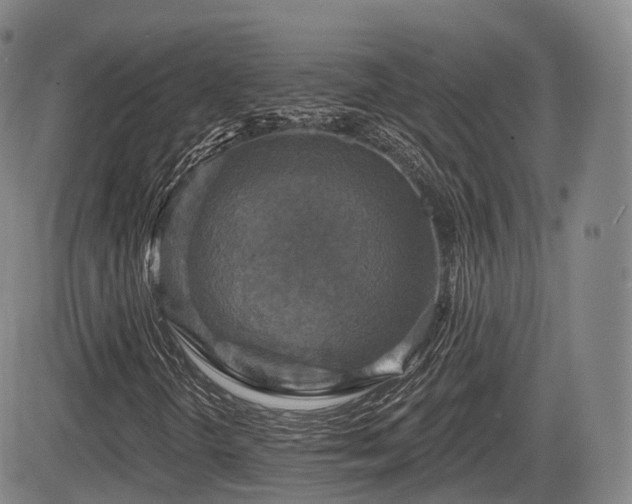 X0000084561298200703021413