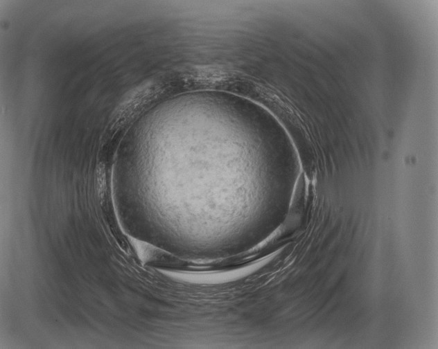 X0000084561299200703021413
