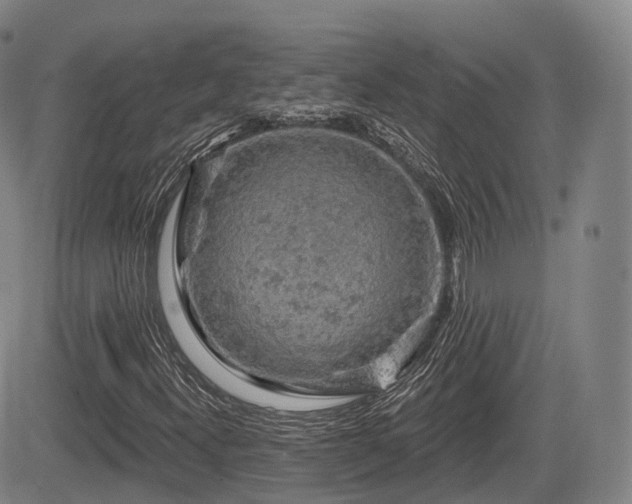 X0000084561300200703021413