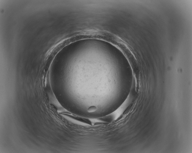 X0000084561304200703021413
