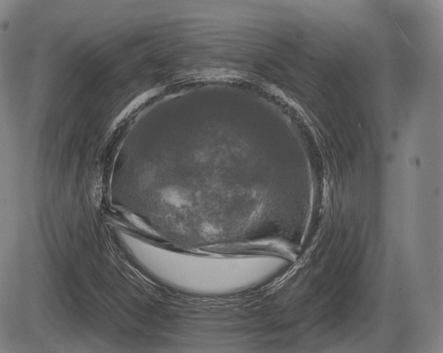 X0000084561306200703021413