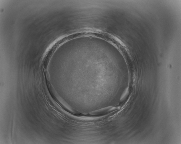X0000084561310200703021413