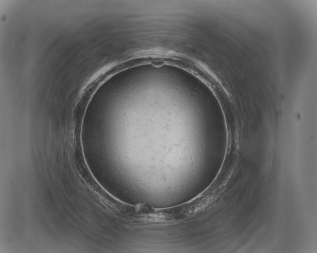 X0000084561315200703021413
