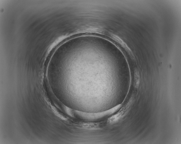 X0000084561316200703021413