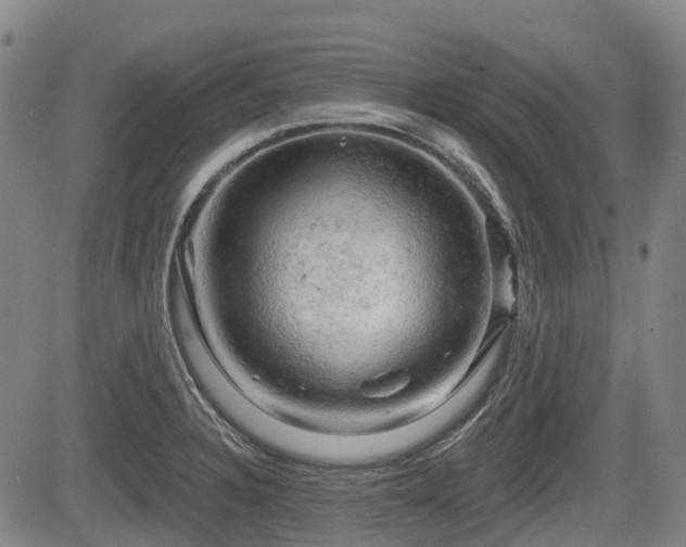 X0000084561328200703021413