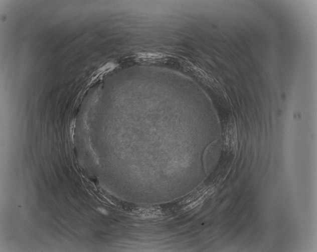 X0000084561346200703021413