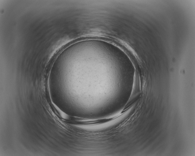 X0000084561356200703021412