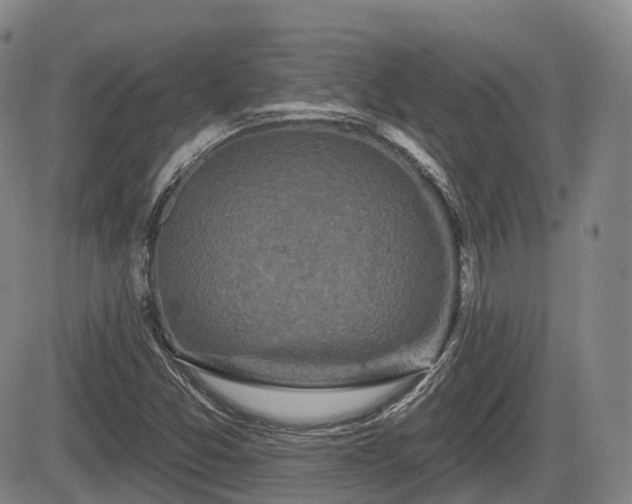 X0000084561357200703021412