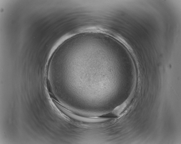 X0000084561392200703021412