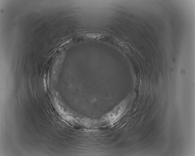 X0000084561394200703021411
