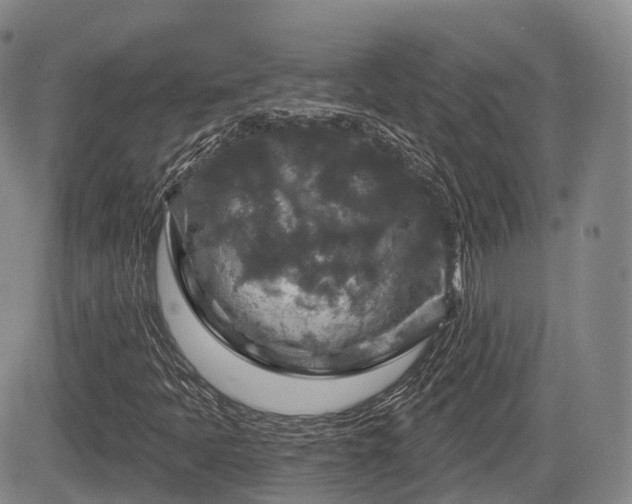 X0000084561397200703021411