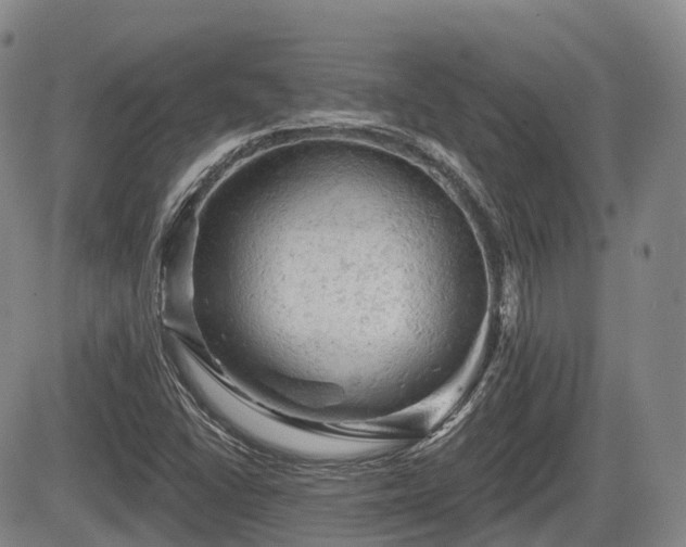 X0000084561406200703021411