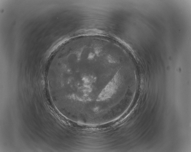 X0000084561407200703021411