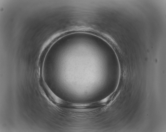 X0000084561414200703021411