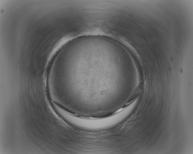 X0000084561416200703021411