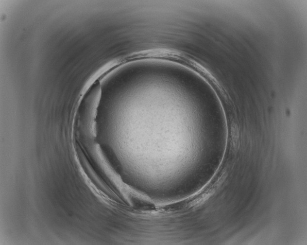 X0000084561426200703021411