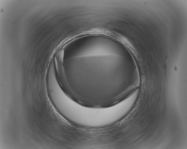 X0000084561428200703021412