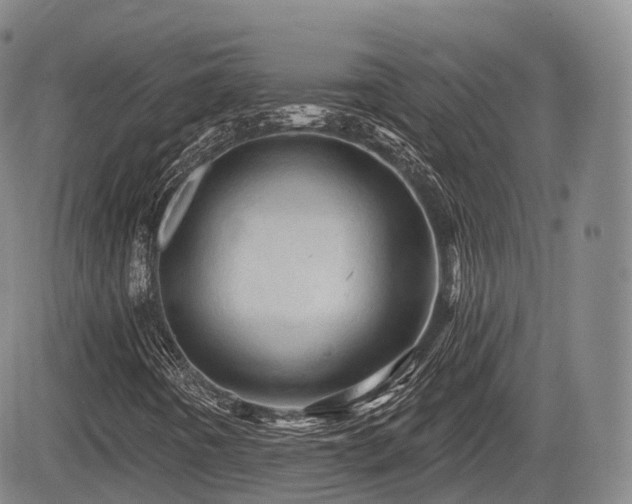 X0000084561442200703021411