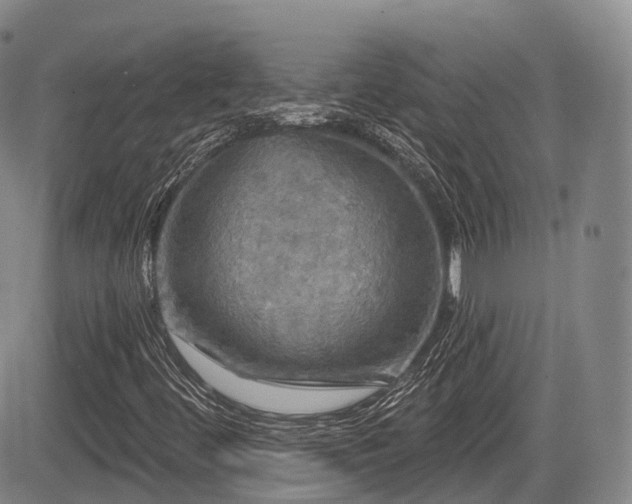 X0000084561444200703021411