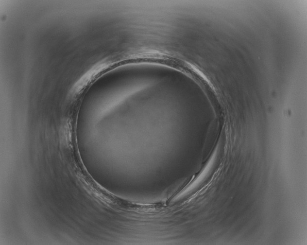 X0000084561455200703021411
