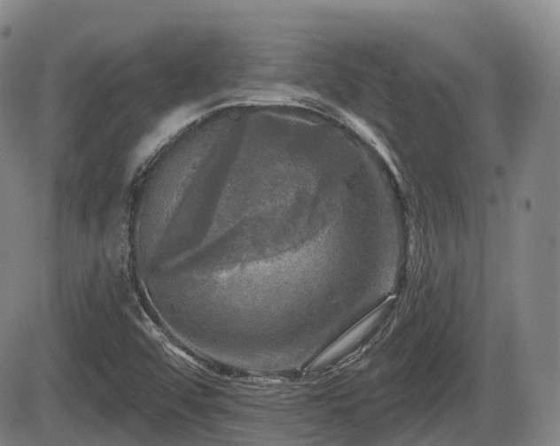 X0000084561456200703021411