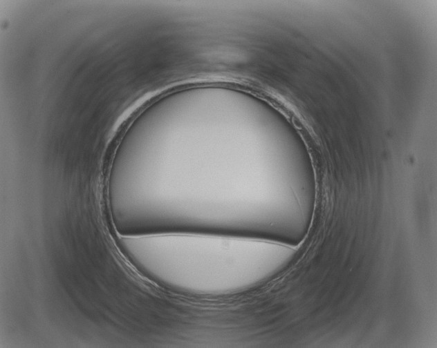 X0000084561460200703021411