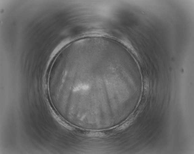 X0000084561466200703021411