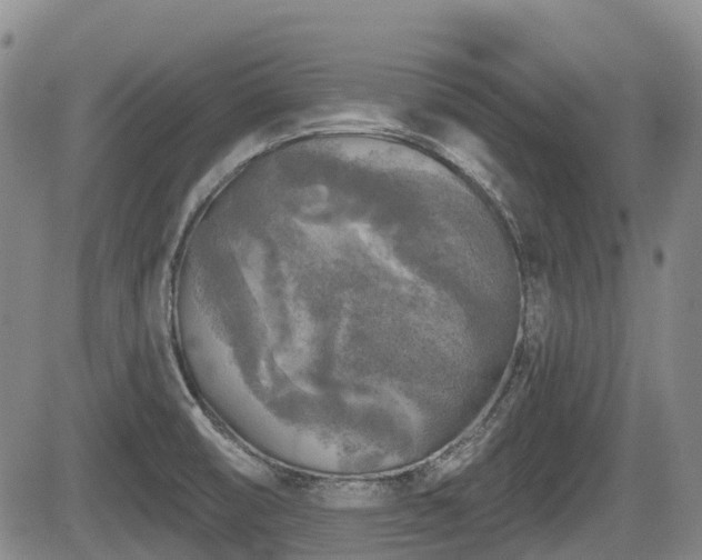 X0000084561474200703021410