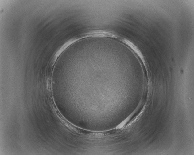 X0000084561481200703021410