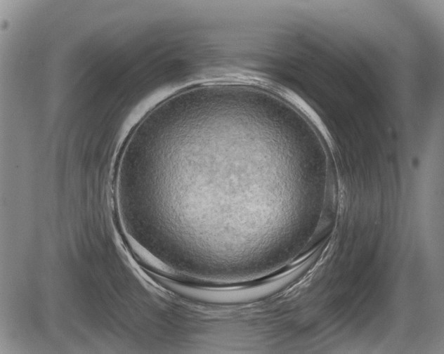 X0000084561485200703021410
