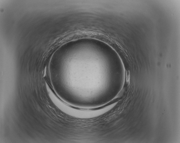 X0000084561492200703021409