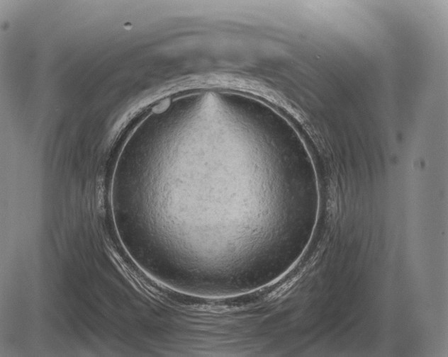X0000084561499200703021409