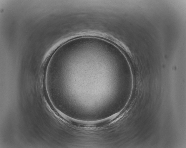 X0000084561504200703021410