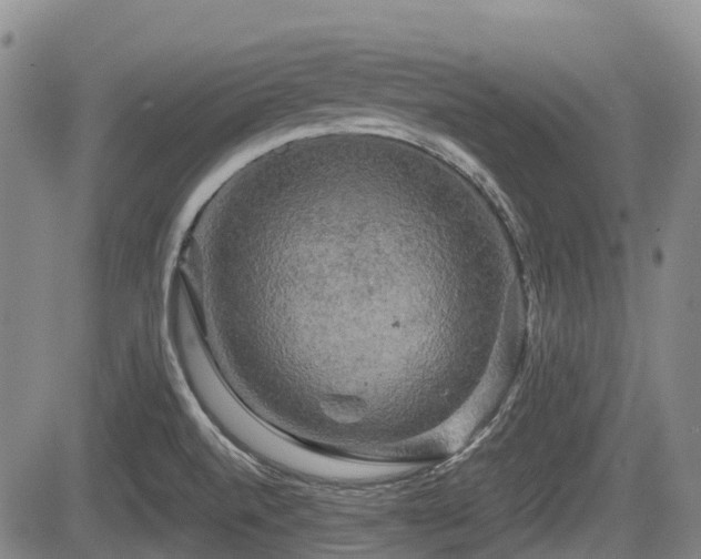 X0000084561520200703021410