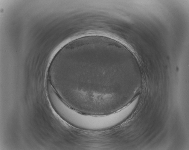 X0000084561527200703021410