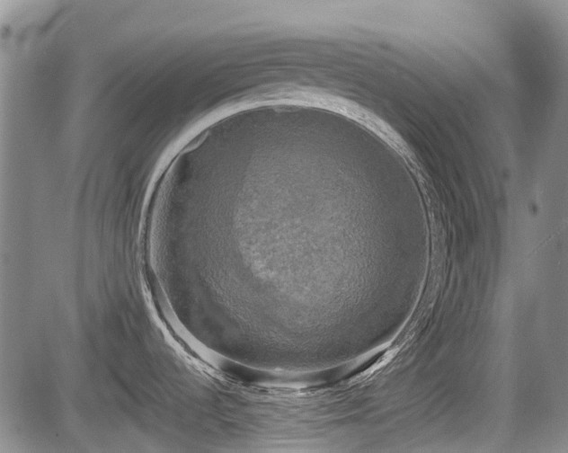 X0000084561536200703021410