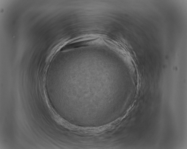 X0000084560001200703091757