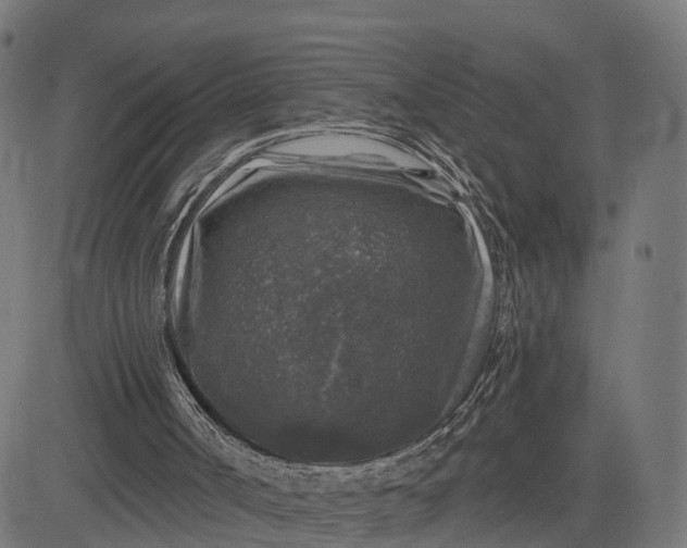 X0000084560002200703091757