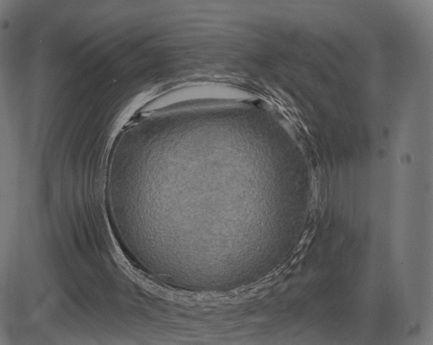 X0000084560003200703091757