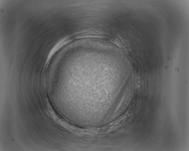 X0000084560004200703091757