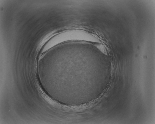 X0000084560005200703091757