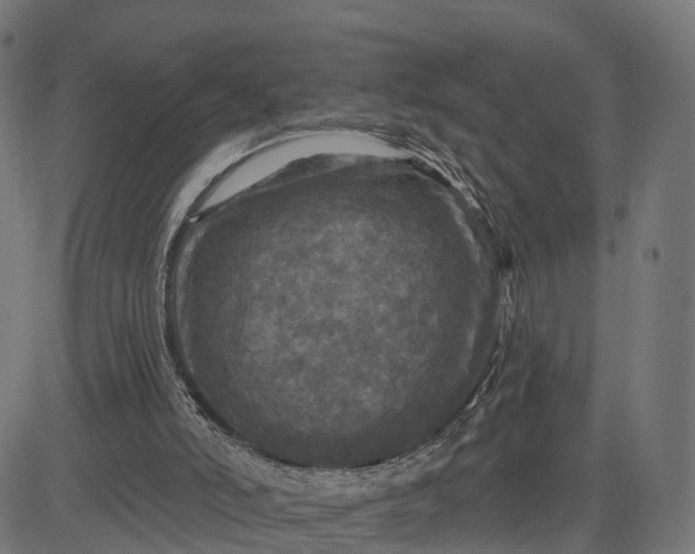 X0000084560006200703091757